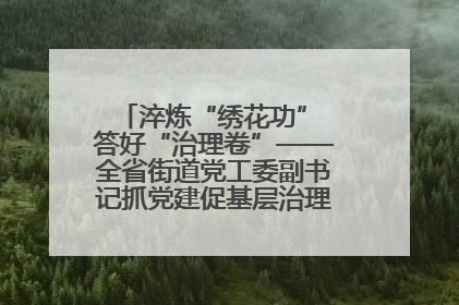 淬炼“绣花功” 答好“治理卷”——全省街道党工委副书记抓党建促基层治理培训示范班侧记