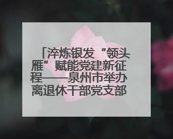 淬炼银发“领头雁”赋能党建新征程——泉州市举办离退休干部党支部书记能力建设专题培训
