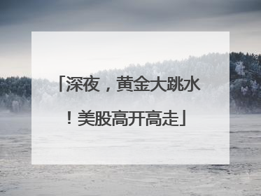 深夜，黄金大跳水！美股高开高走