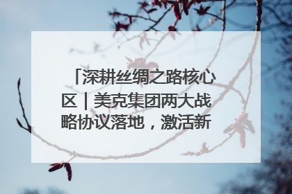 深耕丝绸之路核心区｜美克集团两大战略协议落地，激活新疆开放新动能