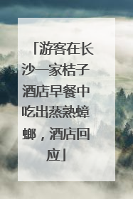 游客在长沙一家桔子酒店早餐中吃出蒸熟蟑螂，酒店回应