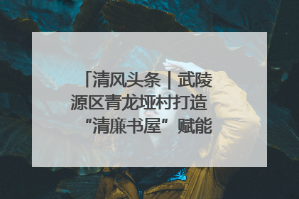 清风头条｜武陵源区青龙垭村打造“清廉书屋”赋能乡村振兴新风尚