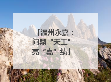 温州永嘉：问鼎“天工”亮“嘉”绩