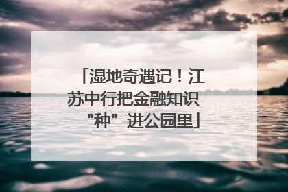 湿地奇遇记！江苏中行把金融知识“种”进公园里