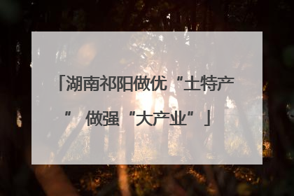 湖南祁阳做优“土特产” 做强“大产业”