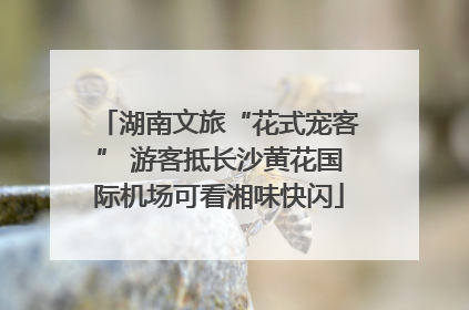 湖南文旅“花式宠客” 游客抵长沙黄花国际机场可看湘味快闪