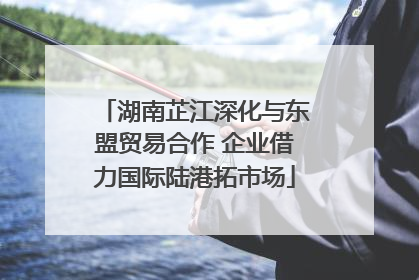湖南芷江深化与东盟贸易合作 企业借力国际陆港拓市场