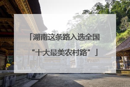 湖南这条路入选全国“十大最美农村路”