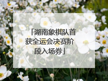 湖南象棋队首获全运会决赛阶段入场券