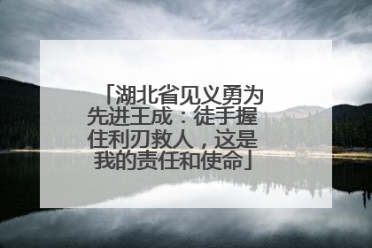 湖北省见义勇为先进王成：徒手握住利刃救人，这是我的责任和使命