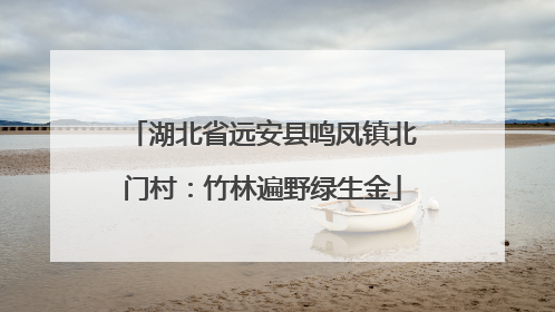 湖北省远安县鸣凤镇北门村：竹林遍野绿生金
