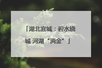 湖北宜城：碧水绕城 河湖“淌金”