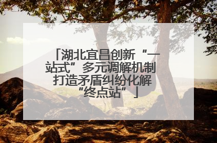 湖北宜昌创新“一站式”多元调解机制 打造矛盾纠纷化解“终点站”