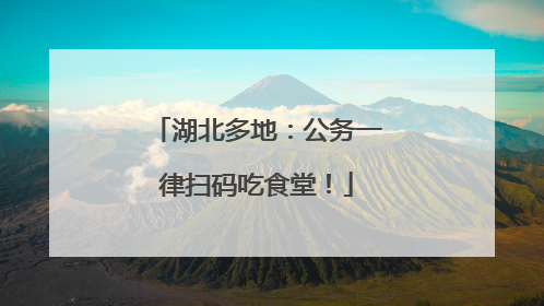 湖北多地：公务一律扫码吃食堂！
