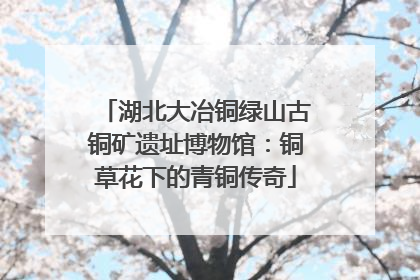 湖北大冶铜绿山古铜矿遗址博物馆：铜草花下的青铜传奇