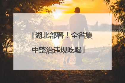 湖北部署！全省集中整治违规吃喝