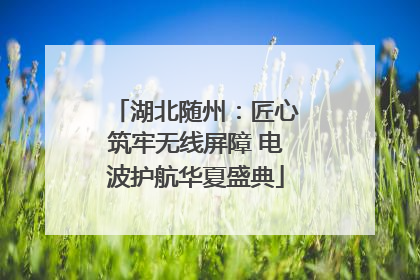 湖北随州：匠心筑牢无线屏障 电波护航华夏盛典
