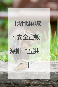 湖北麻城：安全宣教深耕“五进”