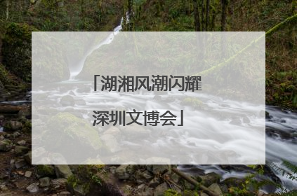 湖湘风潮闪耀深圳文博会
