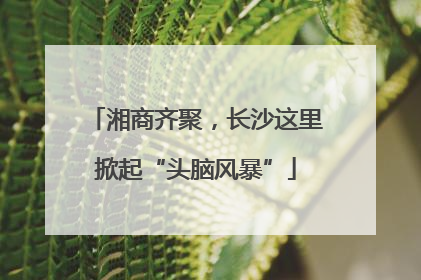 湘商齐聚，长沙这里掀起“头脑风暴”