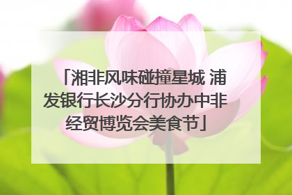 湘非风味碰撞星城 浦发银行长沙分行协办中非经贸博览会美食节