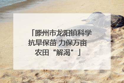滕州市龙阳镇科学抗旱保苗 力保万亩农田“解渴”