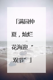 满园仲夏，灿烂花海迎“双节”