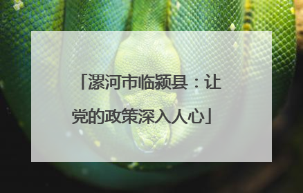 漯河市临颍县：让党的政策深入人心