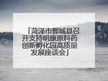 菏泽市鄄城县召开支持明康原料药创新孵化园高质量发展座谈会