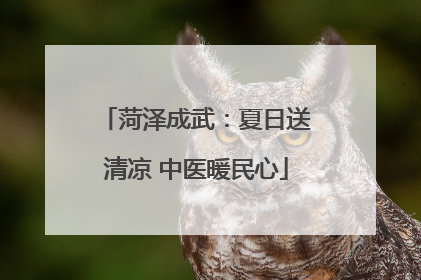 菏泽成武：夏日送清凉 中医暖民心