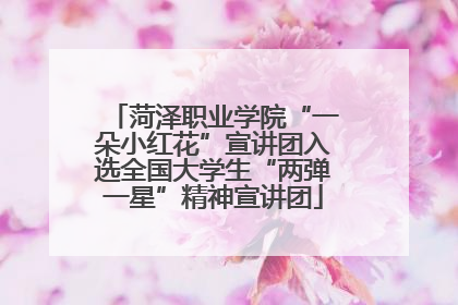 菏泽职业学院“一朵小红花”宣讲团入选全国大学生“两弹一星”精神宣讲团