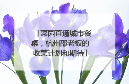 菜园直通城市餐桌，杭州邵老板的收菜计划和期待