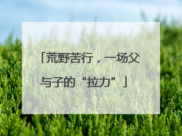 荒野苦行，一场父与子的“拉力”