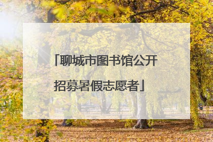 聊城市图书馆公开招募暑假志愿者