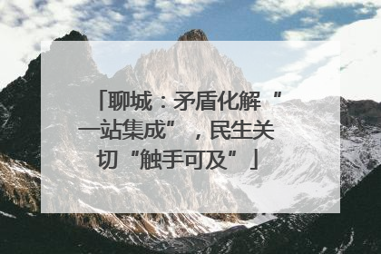 聊城：矛盾化解“一站集成”，民生关切“触手可及”