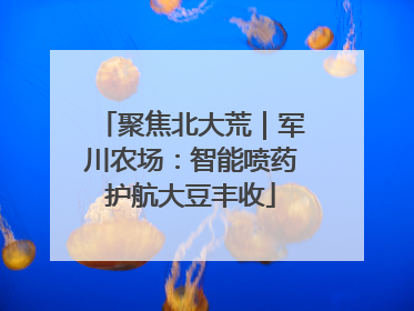 聚焦北大荒｜军川农场：智能喷药护航大豆丰收
