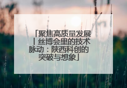 聚焦高质量发展丨丝博会里的技术脉动：陕西科创的突破与想象