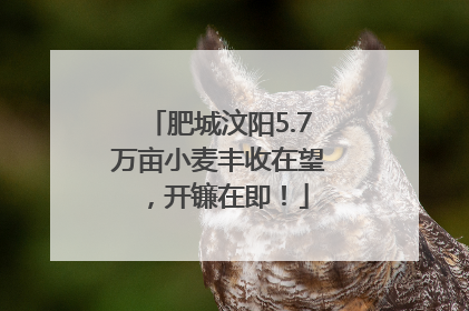 肥城汶阳5.7万亩小麦丰收在望，开镰在即！