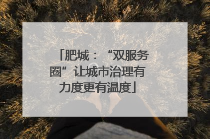 肥城：“双服务圈”让城市治理有力度更有温度