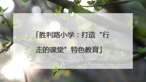 胜利路小学：打造“行走的课堂”特色教育