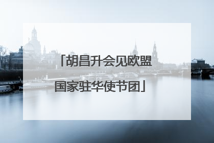 胡昌升会见欧盟国家驻华使节团