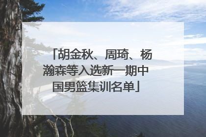 胡金秋、周琦、杨瀚森等入选新一期中国男篮集训名单