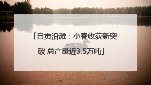 自贡沿滩：小春收获新突破 总产量近3.5万吨