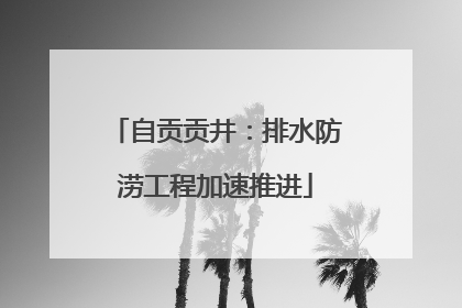 自贡贡井：排水防涝工程加速推进