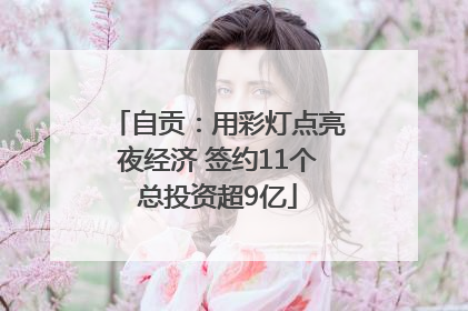 自贡：用彩灯点亮夜经济 签约11个总投资超9亿