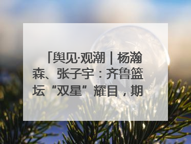 舆见·观潮｜杨瀚森、张子宇：齐鲁篮坛“双星”耀目，期许与挑战并存