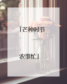 芒种时节农事忙