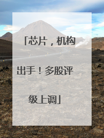 芯片，机构出手！多股评级上调