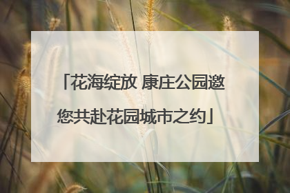 花海绽放 康庄公园邀您共赴花园城市之约