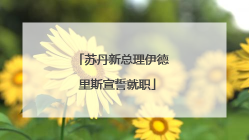 苏丹新总理伊德里斯宣誓就职